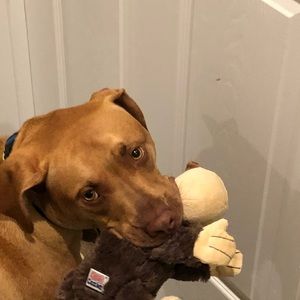 Meet your Posher, Nick